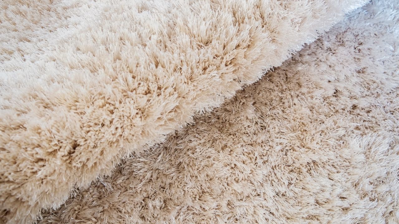 7 Carpet Fiber Types You Should Consider for Your Place