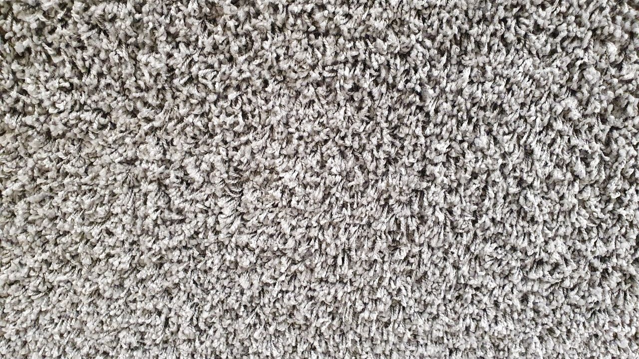 7 Carpet Fiber Types You Should Consider for Your Place