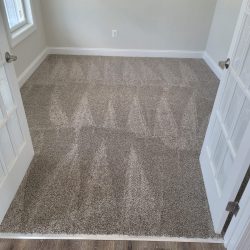 Portfolio Carpet Installation 2