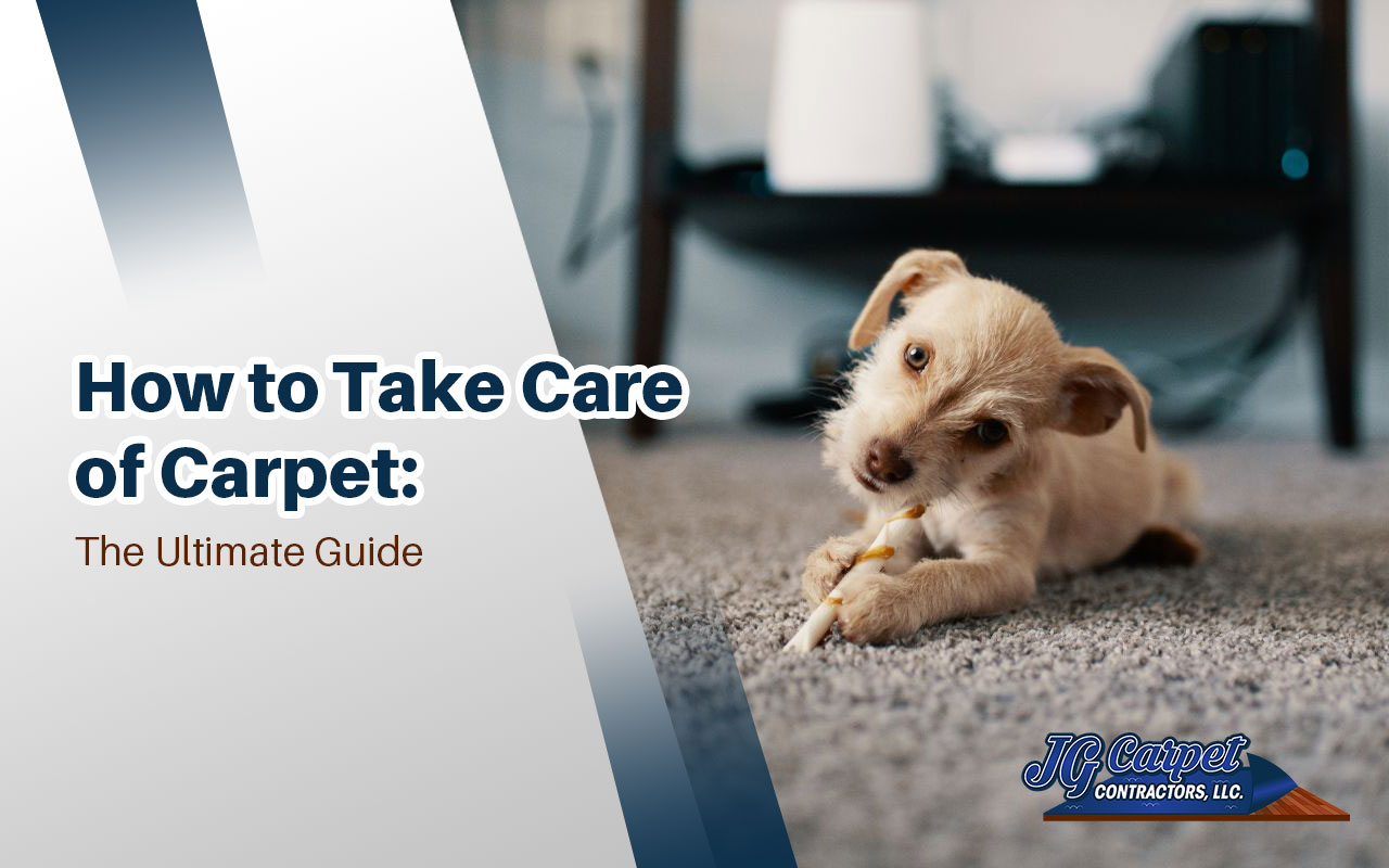 how to take care of carpet