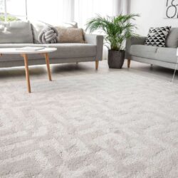 portfolio-carpet-11-10-2023-1