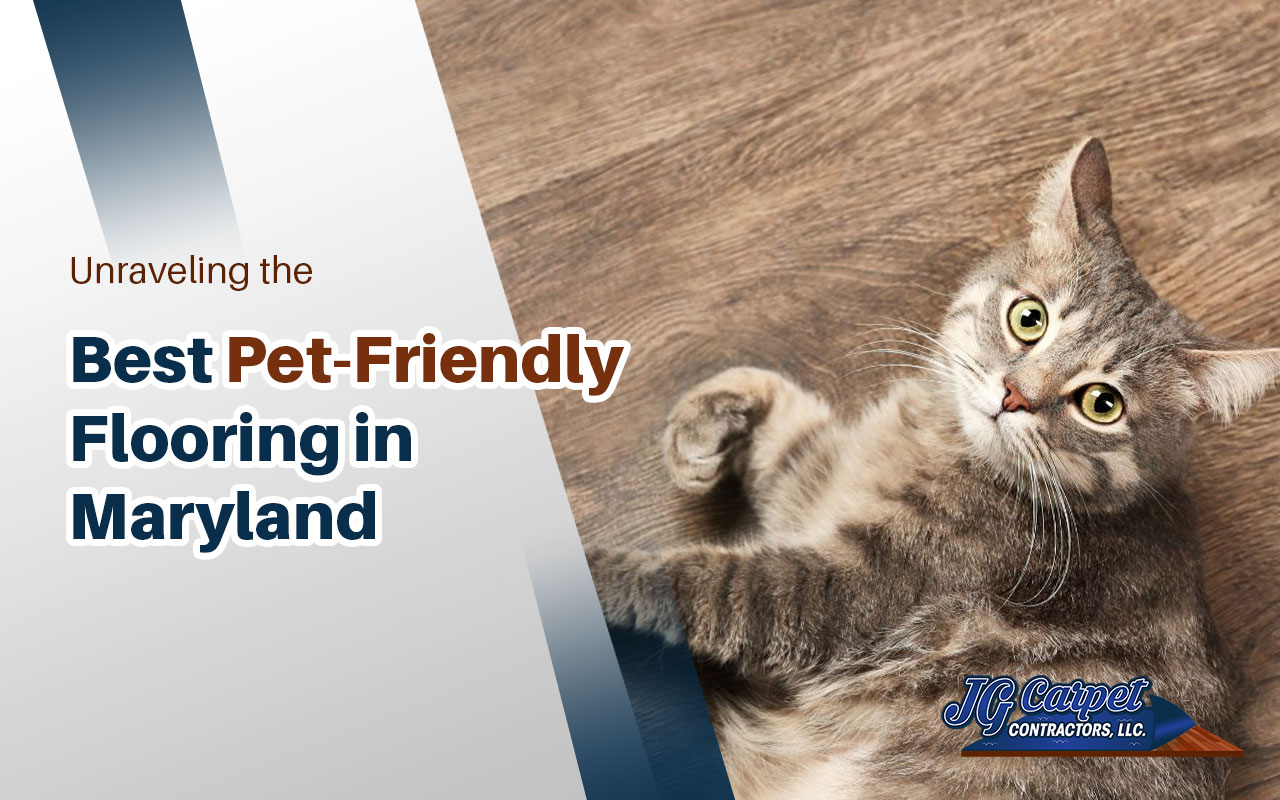 Discover Maryland's Top Pet-Friendly Flooring Options